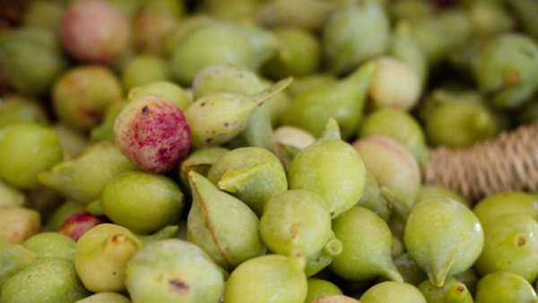 Why our Lime Caviar + Vitamin C&E facial is so popular